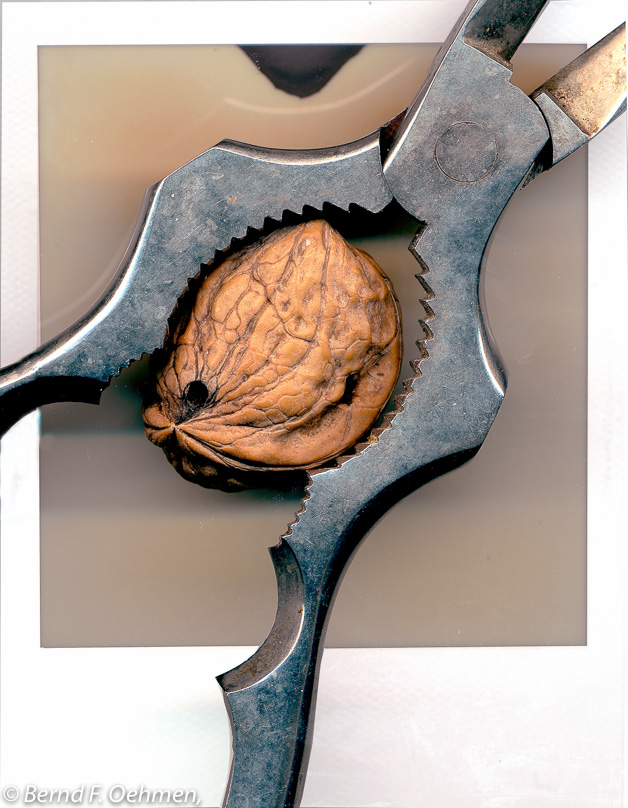 Nusknacker Collage   ImpossibleP Print