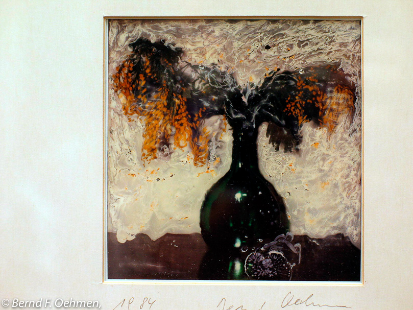 Stilleben  manipulierter SX-70 Print