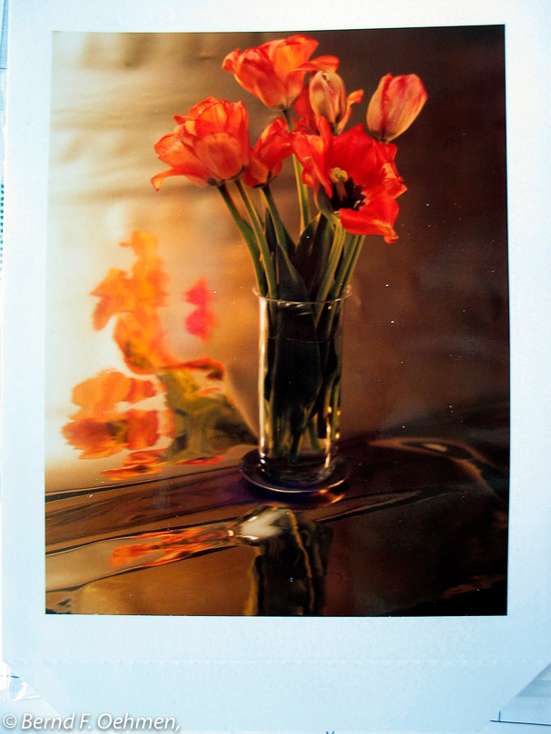 Stilleben-9x12 Print