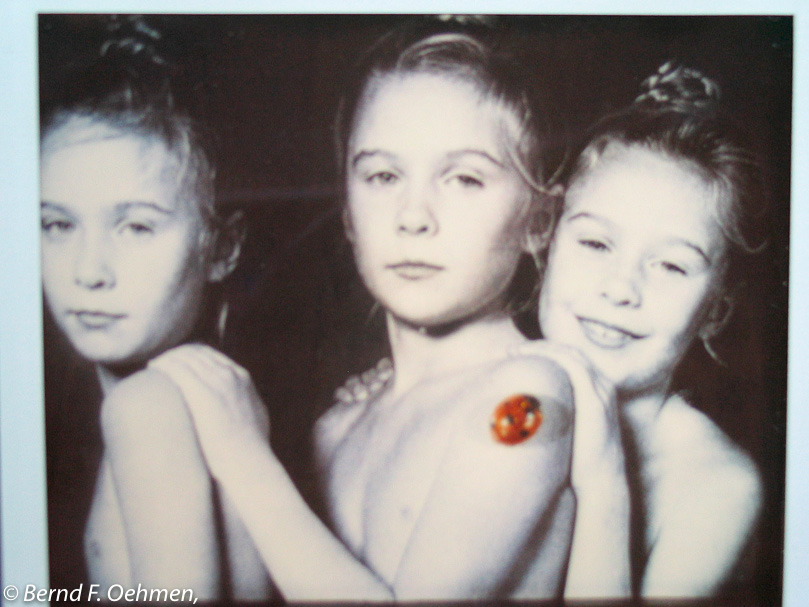 die 3 Schönen   Collage 9x12 Print