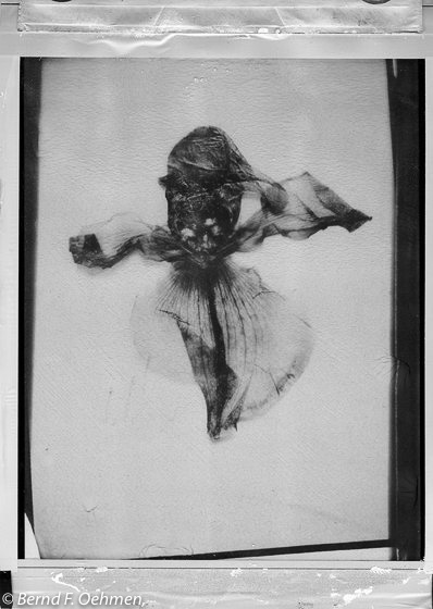 bfo-100276-35- ImpossibleP Film 18x24