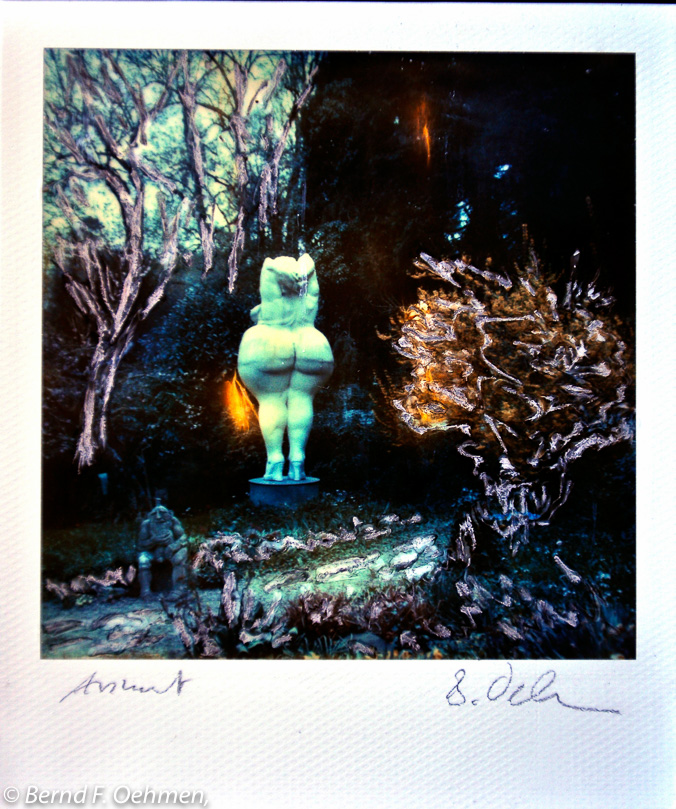 Anmut     manipulierter  SX-70 print