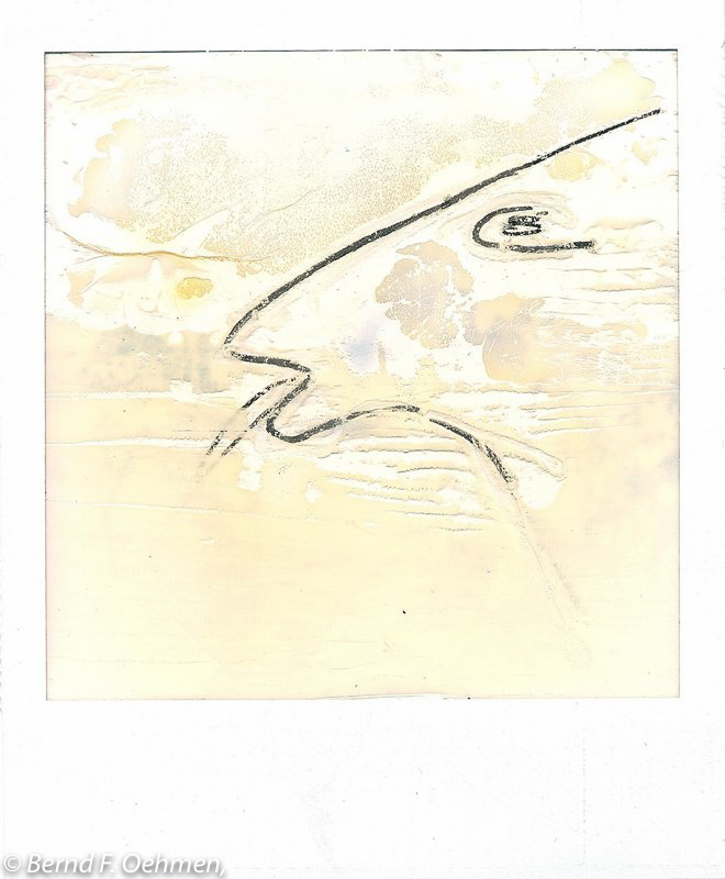 Tierkopf    bemaltes ImpossibleP Print