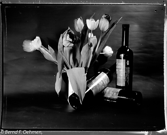 bfo-SW-Pola-stilleben-2