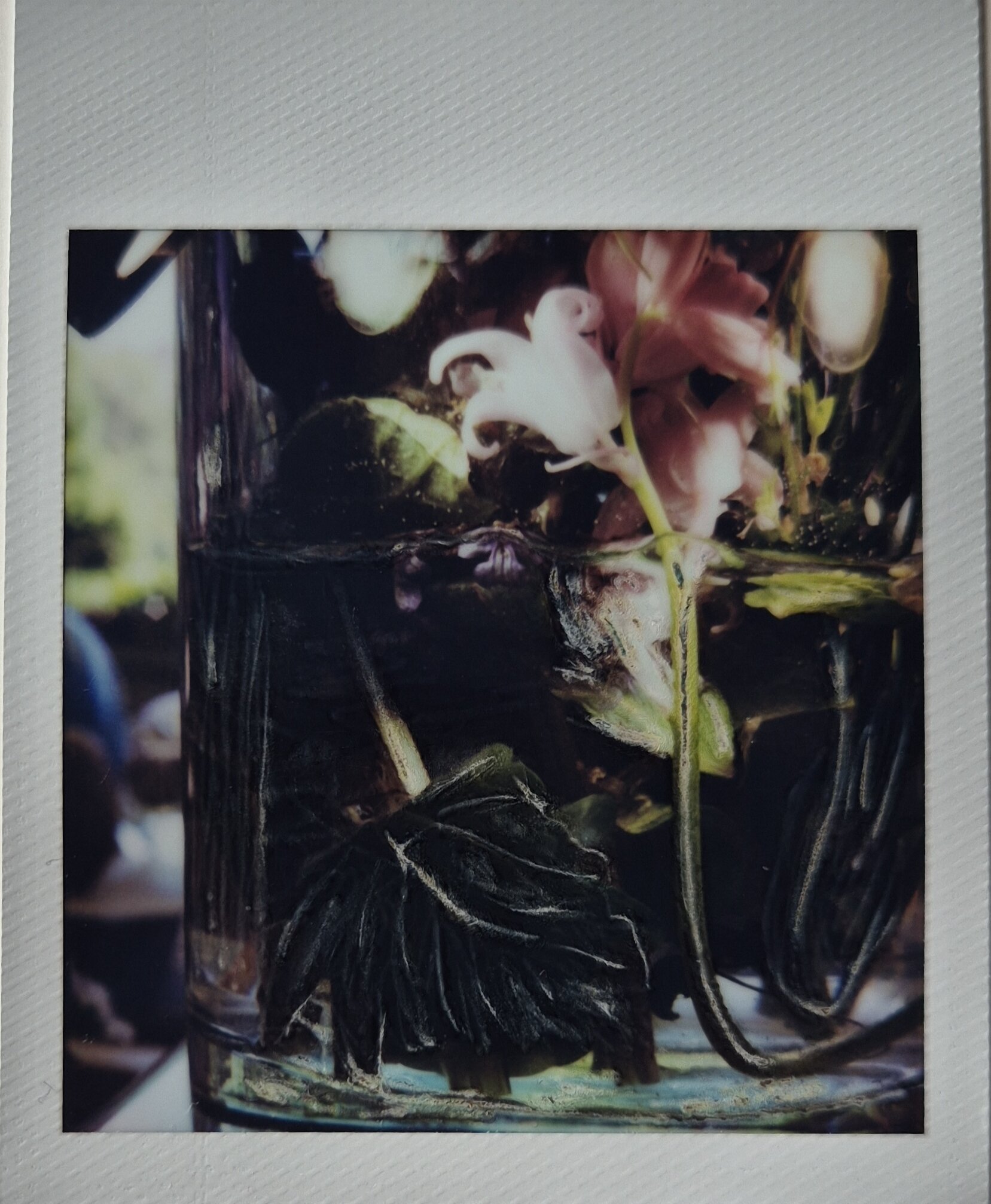Blüten im Glas