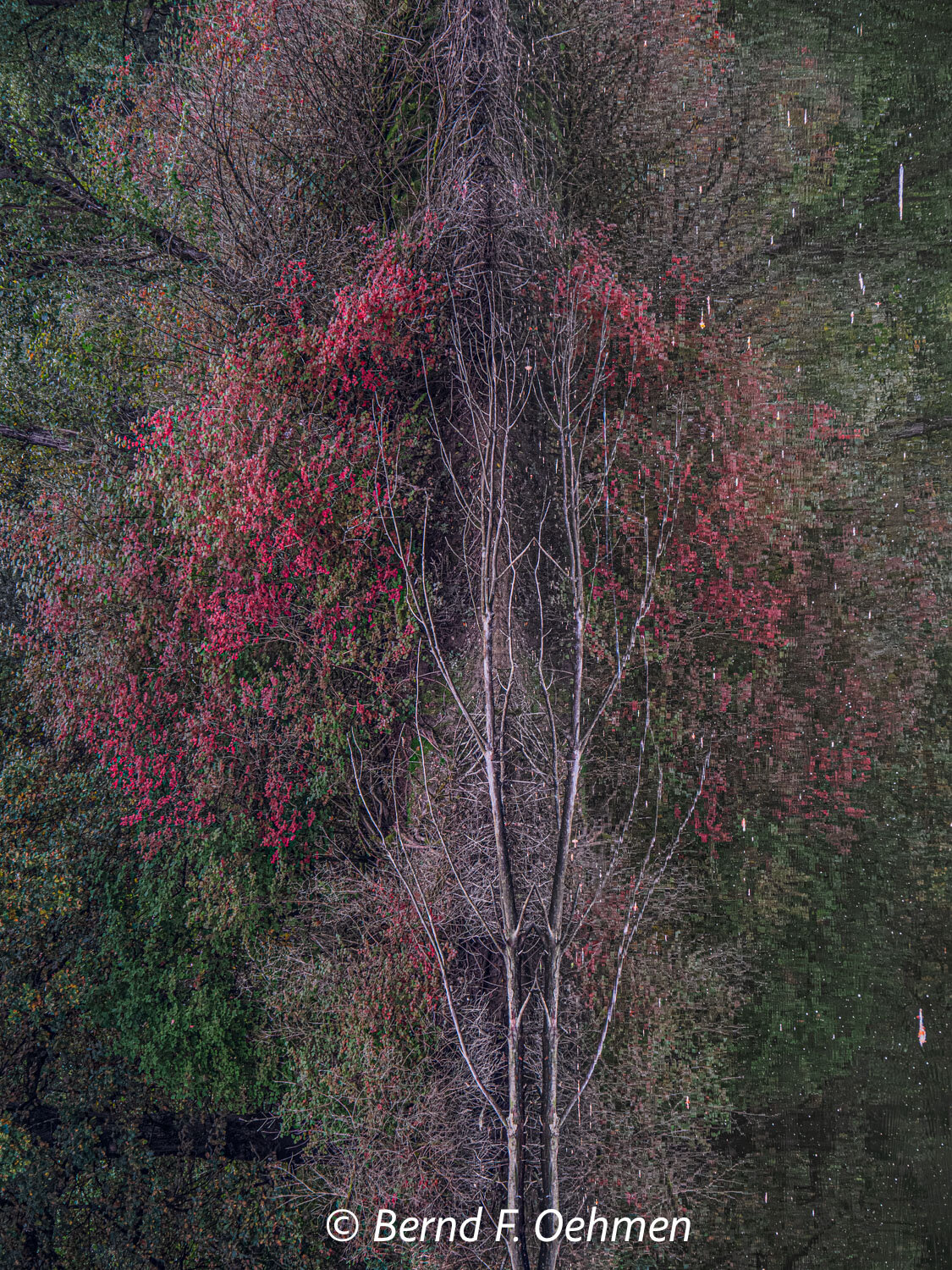 Spiegelung im Herbst