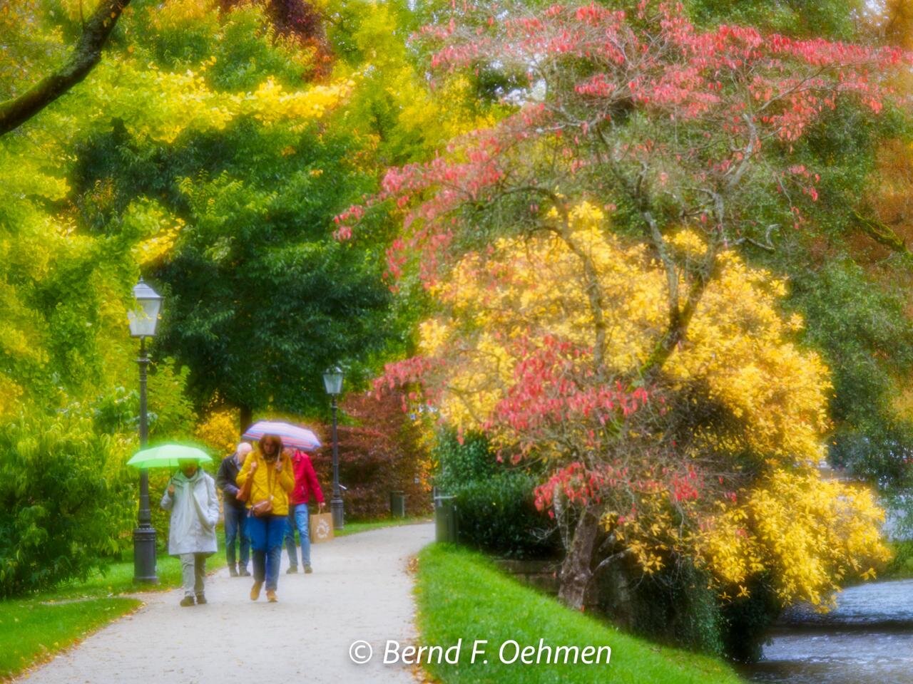 Herbst im Park
